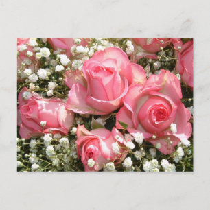 Roze Rozen Briefkaart