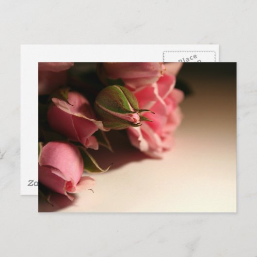 Roze rozen briefkaart (Voorkant / Achterkant)