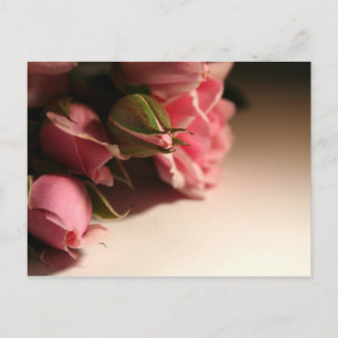 Roze rozen briefkaart