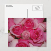 Roze rozen - Briefkaart (Voorkant / Achterkant)