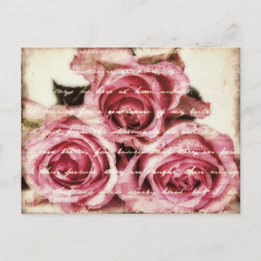 roze rozen briefkaart (Voorkant)