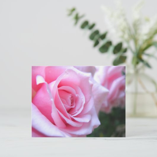 Roze rozen briefkaart (Staand voorkant)