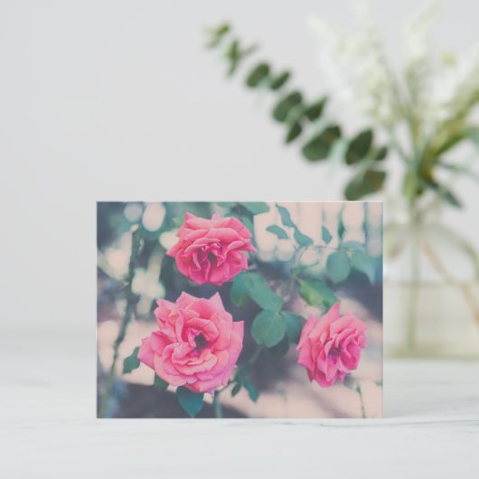 Roze rozen briefkaart (Staand voorkant)