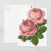 roze rozen briefkaart (Voorkant / Achterkant)