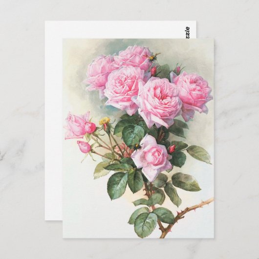  roze rozen Briefkaart schilderen (Voorkant / Achterkant)