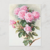  roze rozen Briefkaart schilderen (Voorkant)