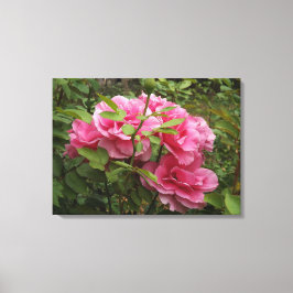 Roze rozen canvas afdruk