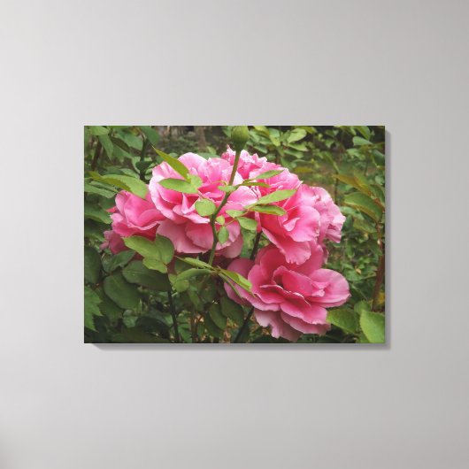 Roze rozen canvas afdruk (Voorkant)