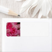 Roze rozen - de Etiketten van het Adres van de ter (Insitu)