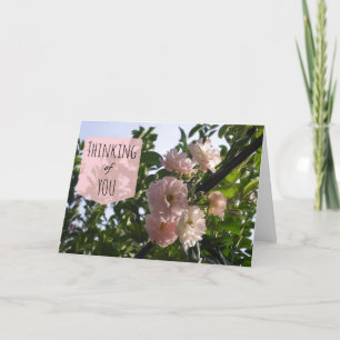 Roze rozen denken aan jou kaart