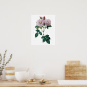 Roze rozen door afdruk van topkwaliteit op Redoute Poster (Keuken)