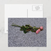 roze rozen drogen briefkaart (Voorkant / Achterkant)
