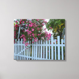 Roze rozen en Picket Fence - Martha's wijngaard Canvas Afdruk