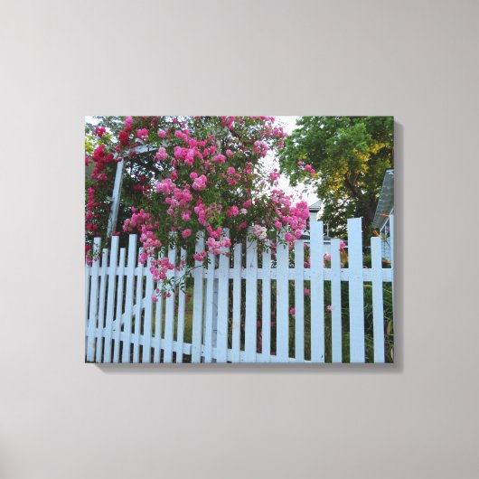 Roze rozen en Picket Fence - Martha's wijngaard Canvas Afdruk (Voorkant)