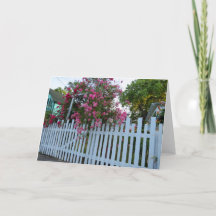 Roze rozen en Picket Fence - Martha's wijngaard