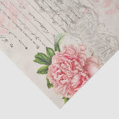 Roze rozen en script op perkament papier (Detail)