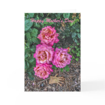 Roze rozen en tuinhandschoen - Moederdag