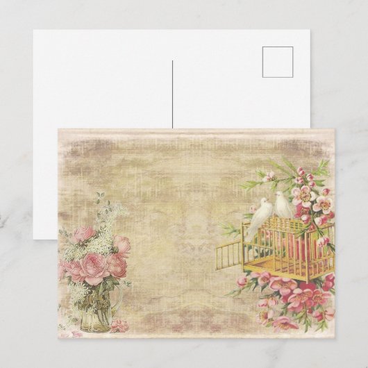 Roze rozen en witte stippen op  stijl briefkaart (Voorkant / Achterkant)