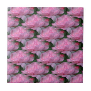 Roze rozen Floral Art Natuur Tile Tegeltje