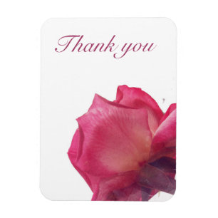 Roze rozen. florale illustratie. magneet