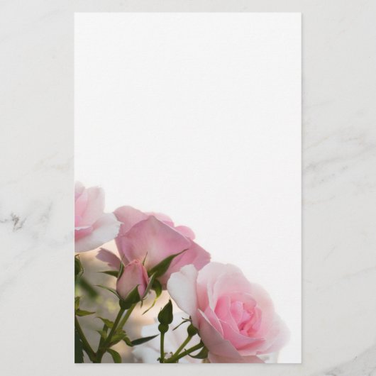 Roze rozen flyer (Achterkant)