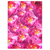 Roze Rozen Foto Klembord (Achterkant)