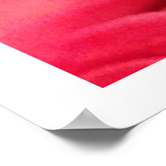 Roze Rozen Foto Poster (Hoek)