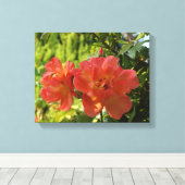 Roze Rozen Fotografie Canvas Print (Insitu (Houten vloer))