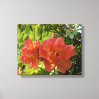 Roze Rozen Fotografie Canvas Print