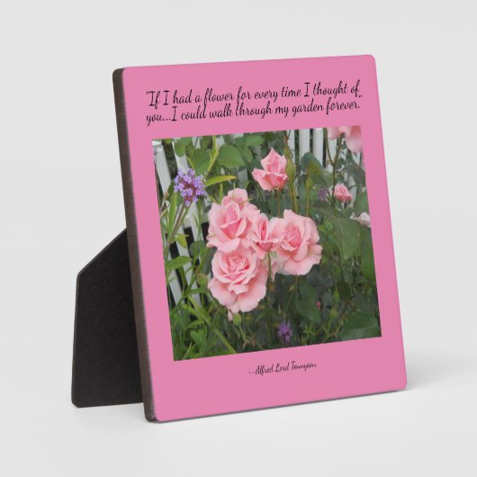 Roze rozen Gedachten over je schildpad Fotoplaat (Voorkant)