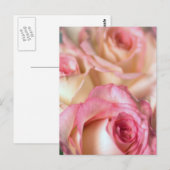 Roze rozen Gift Briefkaart (Voorkant / Achterkant)