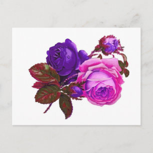 roze rozen - Gifts Briefkaart