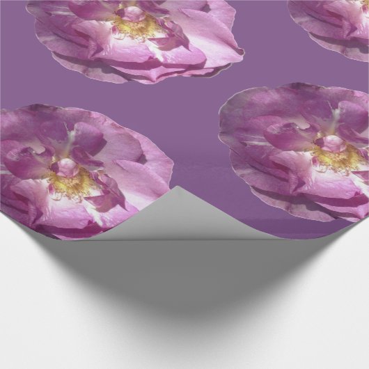 Roze rozen glanzend opvulpapier cadeaupapier (Hoek)