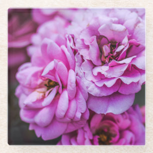 Roze rozen  glazen onderzetter