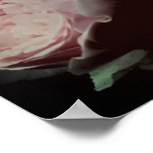 Roze rozen haar poster (Hoek)
