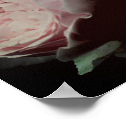 Roze rozen haar poster (Hoek)