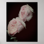 Roze rozen haar poster (Voorkant)