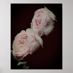 Roze rozen haar poster