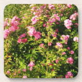 Roze rozen in bloei bier onderzetter (Voorkant)