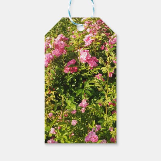 Roze rozen in bloei cadeaulabel (Voorkant)