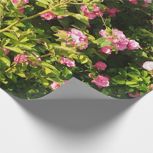 Roze rozen in bloei cadeaupapier (Hoek)