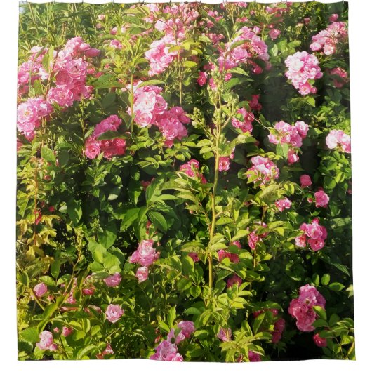 Roze rozen in bloei douchegordijn (Voorkant)