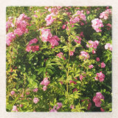 Roze rozen in bloei glazen onderzetter (Voorkant)