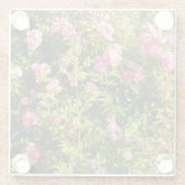 Roze rozen in bloei glazen onderzetter (Achterkant)