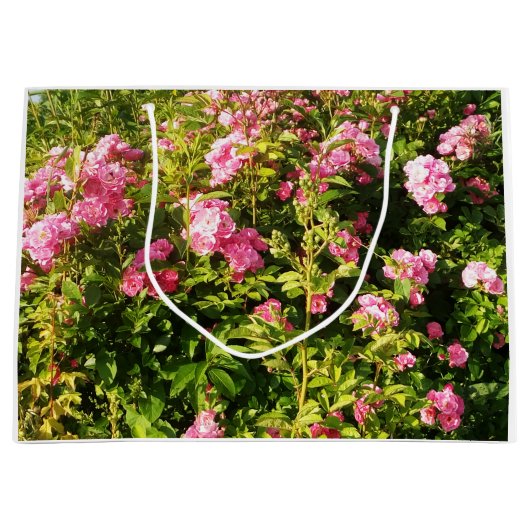 Roze rozen in bloei groot cadeauzakje (Voorkant)