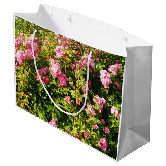 Roze rozen in bloei groot cadeauzakje (Achterkant Gekanteld)