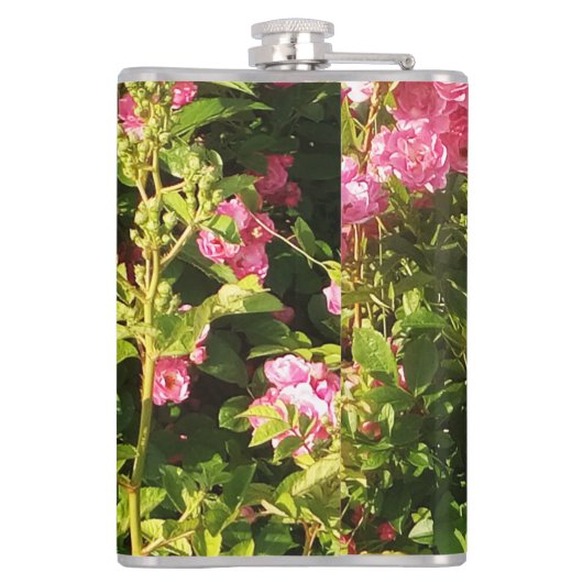 Roze rozen in bloei heupfles (Achterkant)