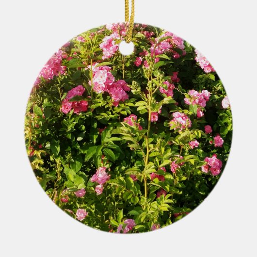 Roze rozen in bloei keramisch ornament (Voorkant)