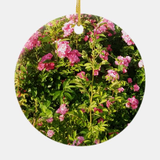 Roze rozen in bloei keramisch ornament (Achterkant)