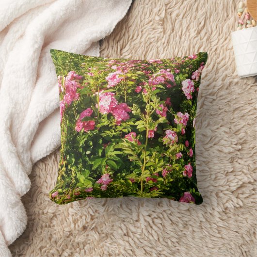 Roze rozen in bloei kussen (Deken)